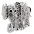 1W125 Imitation Rhodium Brass Brooches with AAA Grade CZ in Black Diamond